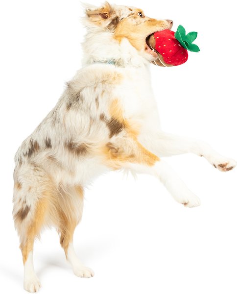 Show full view: Huxley & Kent Dog Power Plush Chocolate Strawberry Dog Toy, Red, Small slide 6 of 7