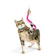 Show in main carousel: Huxley & Kent Cat Wand Refill 3 Pack Pink Mouse Tails Teasers Cat Toy, Pink/Gray slide 3 of 7