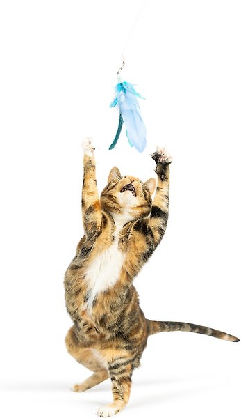 Show full view: Huxley & Kent Cat Wand Teaser Kitty Loco Cat Toy, Blue slide 9 of 9