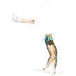 Show in main carousel: Huxley & Kent Cat Wand Teaser Kitty Loco Cat Toy, Blue slide 7 of 9