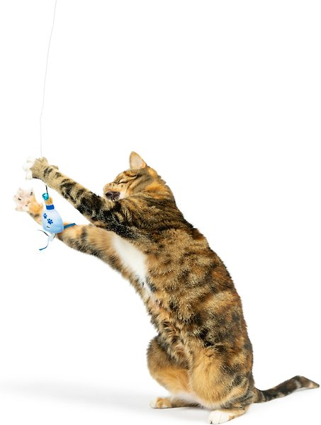 Show full view: Huxley & Kent Cat Wand Teaser Kitty Loco Cat Toy, Blue slide 4 of 9