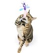 Show in main carousel: Huxley & Kent Cat Wand Refill 2 Pack Dragonfly Streamers Cat Toy, Purple slide 3 of 4