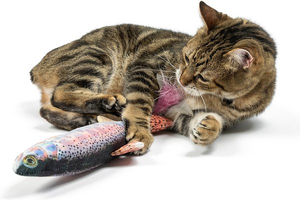 Show full view: Huxley & Kent Cat Kicker Rainbow Trout Cat Toy, Multicolor slide 5 of 5