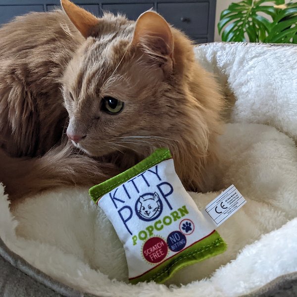 Show full view: Huxley & Kent Cat Kitty Pop Cat Toy, White/Green/Red slide 7 of 9