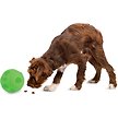 Show in main carousel: Omega Paw Giggle Tricky Treat Ball Dog Toy, Large slide 5 of 5