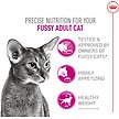 Show in main carousel: Royal Canin Feline Health Nutrition Fussy Adult Dry Cat Food, 3.18-kg bag slide 2 of 7
