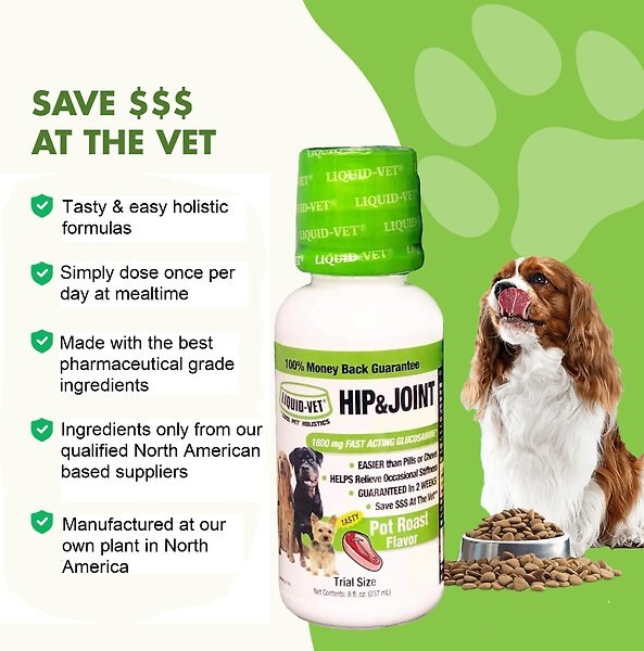 Show full view: Liquid-Vet K9 Hip & Joint Support Pot Roast Flavour Supplement for Dogs, 8-oz bottle, 2 count slide 7 of 8