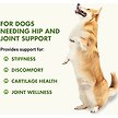 Show in main carousel: Liquid-Vet K9 Hip & Joint Support Unflavoured Supplement for Dogs, 8-oz bottle, 2 count slide 2 of 7