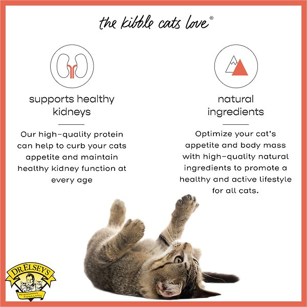 Show full view: Dr. Elsey's cleanprotein Salmon Kibble Cat Dry Food, 3-kg bag slide 4 of 9