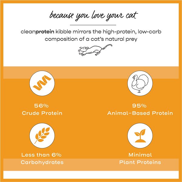 Show full view: Dr. Elsey's cleanprotein Turkey Kibble Cat Dry Food, 3-kg bag slide 3 of 9