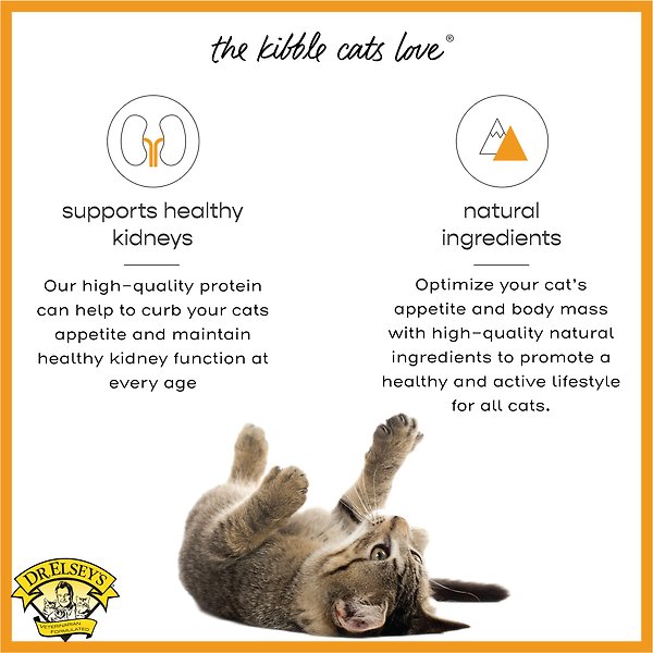 Show full view: Dr. Elsey's cleanprotein Turkey Kibble Cat Dry Food, 3-kg bag slide 6 of 9