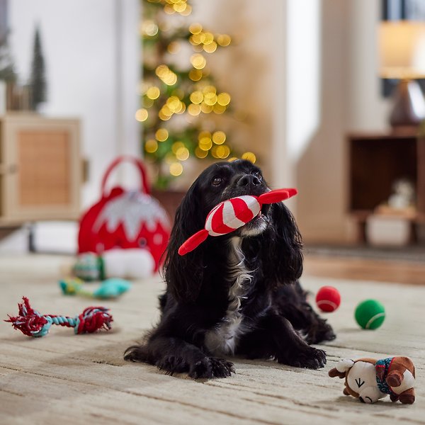 Show full view: Frisco Holiday Brr Basket Variety Pack Dog Toy, Medium, 7 count slide 5 of 8