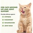Show in main carousel: Liquid-Vet Feline Hip & Joint Support Unflavored Supplement for Cats 8-oz bottle slide 2 of 7