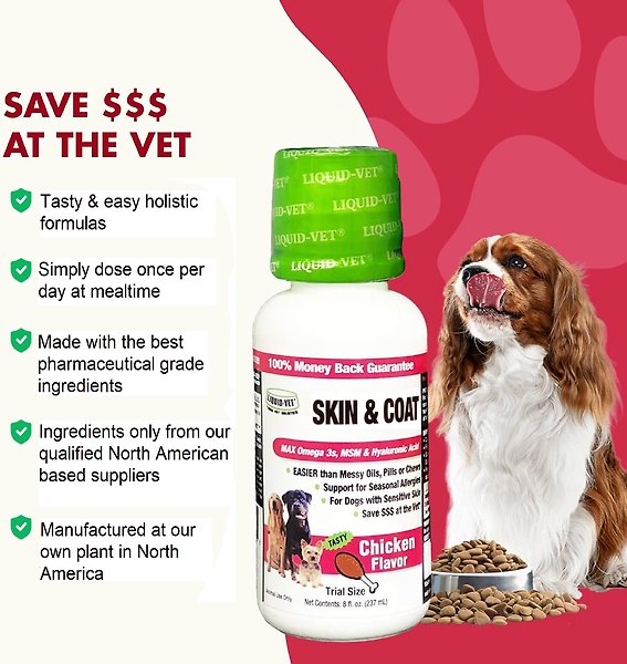Show full view: Liquid-Vet K9 Skin & Coat Support Chicken Flavour Supplement for Dogs, 32-oz bottle slide 5 of 7