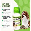 Show in main carousel: Liquid-Vet K9 Hip & Joint Support Unflavoured Supplement for Dogs, 8-oz bottle, 2 count slide 5 of 7