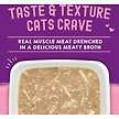 Show in main carousel: Stella & Chewy's Carnivore Cravings Chicken & Salmon Flavored Shredded Wet Cat Food, 2.8-oz pouch, case of 12 slide 2 of 9