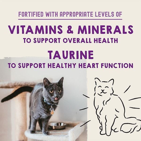 Show full view: Stella & Chewy's Carnivore Cravings Purrfect Pate Variety Pack Wet Cat Food, 2.8-oz can, case of 12 slide 8 of 9