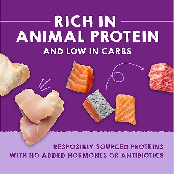 Show full view: Stella & Chewy's Carnivore Cravings Savory Shreds Variety Pack Wet Cat Food, 2.8-oz can, case of 12 slide 4 of 9