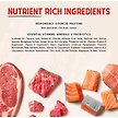 Show in main carousel: Stella & Chewy's Stella's Shredrs Adult Grain-Free Grass Fed Beef & Wild Caught Salmon Recipe in Broth Wet Dog Food, 2.8-oz pouch, case of 12 slide 6 of 8