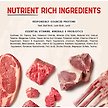 Show in main carousel: Stella & Chewy's Stella's Shredrs Adult Grain-Free Grass Fed Beef & Lamb Recipe in Broth Wet Dog Food, 2.8-oz pouch, case of 12 slide 6 of 8
