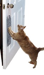 Omega Paw Door Hanging Cat Scratchy Pad