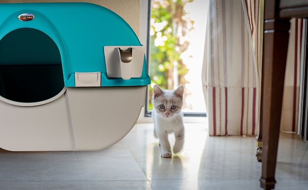 Show full view: Omega Paw Roll 'n Clean Self Cleaning Cat Litter Box, Sky Blue, Regular slide 3 of 5