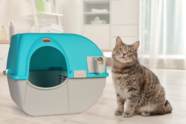 Show full view: Omega Paw Roll 'n Clean Self Cleaning Cat Litter Box, Sky Blue, Regular slide 5 of 5