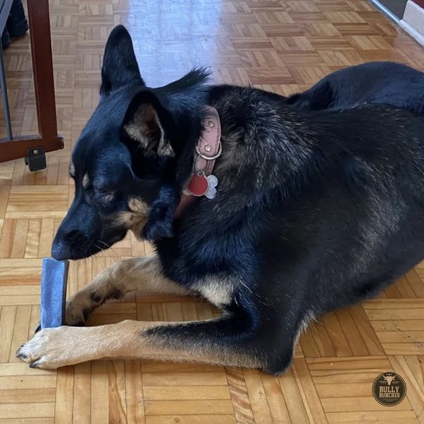 Show full view: Bully Bunches Variety Pack Himalayan Yak Chew Dog Treat, Medium, 4 count slide 6 of 9