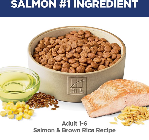 Show full view: Hill's Science Diet Adult Salmon & Brown Rice Recipe Dry Dog Food, 6.35-kg bag slide 5 of 10
