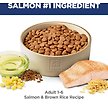 Show in main carousel: Hill's Science Diet Adult Salmon & Brown Rice Recipe Dry Dog Food, 6.35-kg bag slide 5 of 10