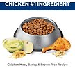Show in main carousel: Hill's Science Diet Adult Healthy Mobility Chicken Meal & Rice Recipe Dry Dog Food, 13.6-kg bag slide 5 of 9