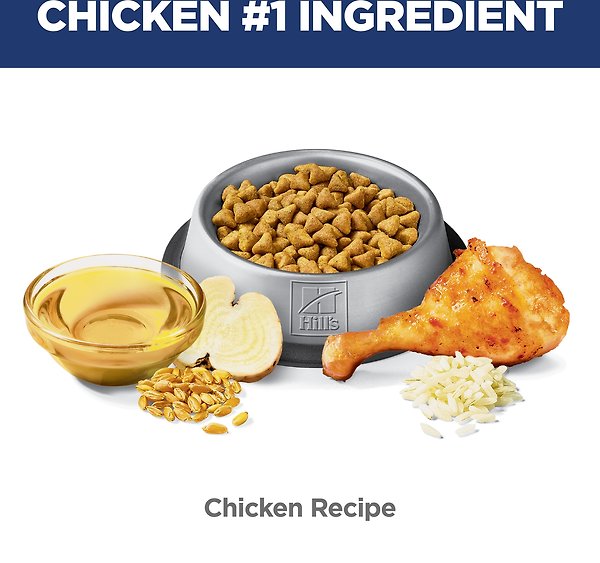 Show full view: Hill's Science Diet Adult Hairball Control Chicken Recipe Dry Cat Food, 1.58-kg bag slide 6 of 12