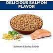 Show in main carousel: Hill's Science Diet Adult Salmon & Barley Entree Canned Dog Food, 	368-g can, case of 12 slide 4 of 9