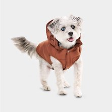 Dog Clothing