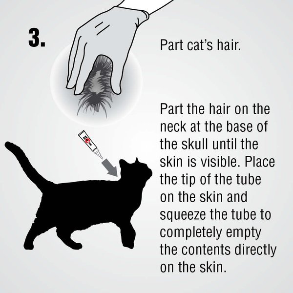 Show full view: Zodiac Infestop II Flea Topical Solution for Cats, Under 4 kg slide 7 of 9