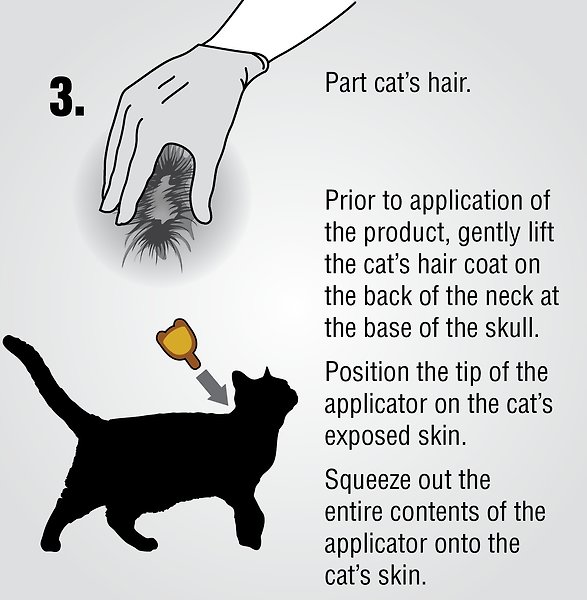 Show full view: Zodiac Spot On II Flea Control for Cats slide 5 of 7