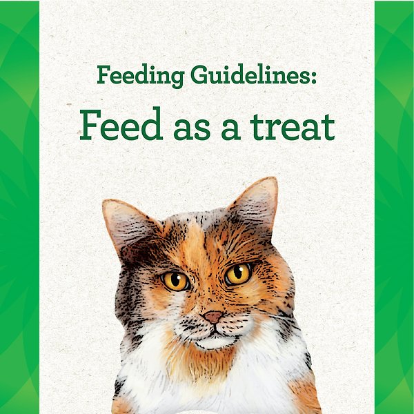 Show full view: Greenies Pill Pockets Chicken Flavour Adult Cat Treats, 45 count slide 7 of 8
