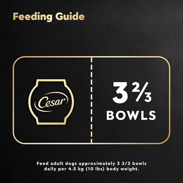 Show full view: Cesar Wholesome Bowls Chicken Recipe Wet Dog Food, 85-g tray, case of 10 slide 5 of 7