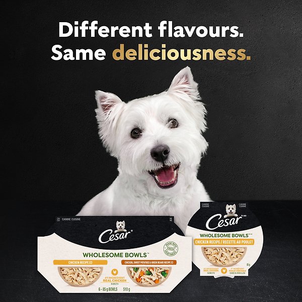Show full view: Cesar Wholesome Bowls Chicken Recipe Wet Dog Food, 85-g tray, case of 10 slide 3 of 7