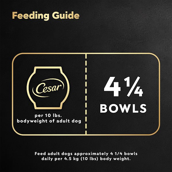 Show full view: Cesar Wholesome Bowls Beef, Chicken, Carrots & Purple Potato Wet Dog Food, 85-g tray, case of 10 slide 5 of 7