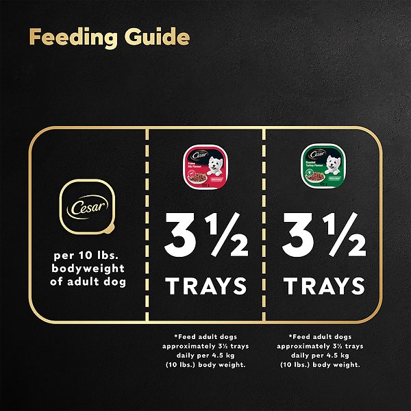 Show full view: Cesar Filets In Sauce 6 Roasted Turkey & 6 Prime Rib Flavour Variety Pack Wet Dog Food, 100-g tray, case of 12 slide 5 of 6