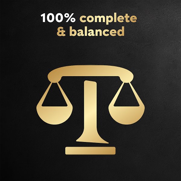 Show full view: Cesar Filets In Sauce 6 Roasted Turkey & 6 Prime Rib Flavour Variety Pack Wet Dog Food, 100-g tray, case of 12 slide 4 of 6
