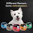 Show in main carousel: Cesar Filets In Sauce 6 Roasted Turkey & 6 Prime Rib Flavour Variety Pack Wet Dog Food, 100-g tray, case of 12 slide 3 of 6