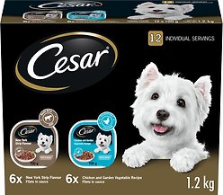 Cesar Filets in Sauce Chicken & Garden Vegetables, New York Strip Flavour Variety Pack Wet Dog Food, 100-g tray, case of 12