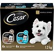 Show in main carousel: Cesar Filets in Sauce Chicken & Garden Vegetables, New York Strip Flavour Variety Pack Wet Dog Food, 100-g tray, case of 12 slide 1 of 6