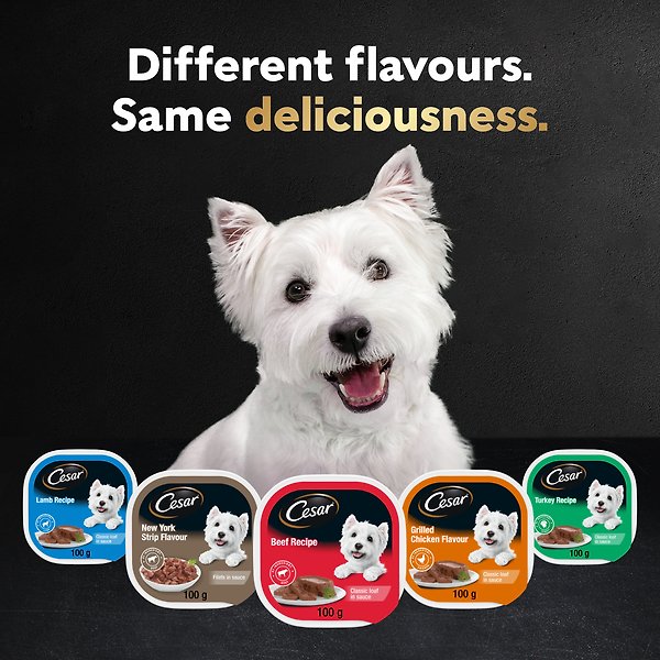 Show full view: Cesar Classic Loaf in Sauce Delicacies Variety Pack Grain-Free Adult Wet Dog Food, 100-g tray, case of 24 slide 3 of 7