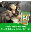 Show in main carousel: Greenies Feline Natural Dental Care Oven-Roasted Chicken Flavour Adult Cat Treats, 277-g tub slide 2 of 6