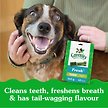 Show in main carousel: Greenies Fresh Teenie Adult Natural Dental Dog Treats, 43 count slide 2 of 7