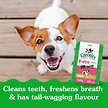 Show in main carousel: Greenies Smartbites Immune Support Chicken Flavour Soft & Crunchy Dog Treats, 227-g pouch slide 2 of 6