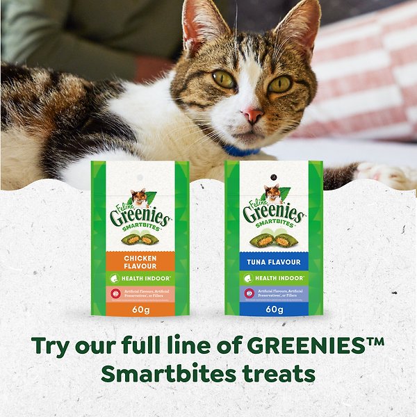 Show full view: Greenies Feline Smartbites Healthy Indoor Natural Dental Care Chicken Flavour Adult Cat Treats, 60-g pouch slide 3 of 5
